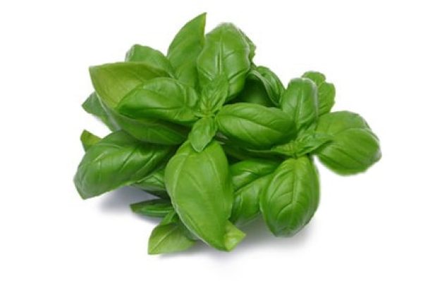Basilico 125 gr