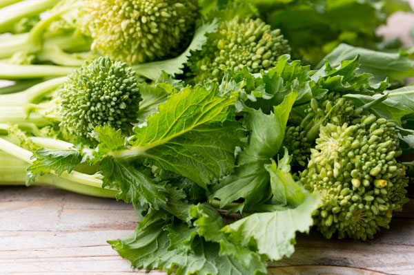Cime di Rapa vaso 1 kg