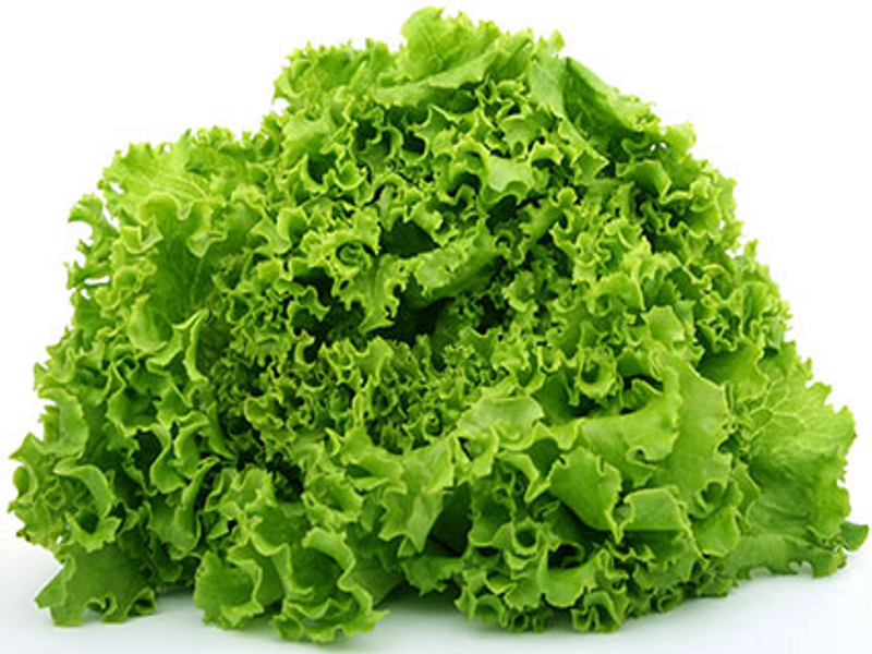 Insalata verde