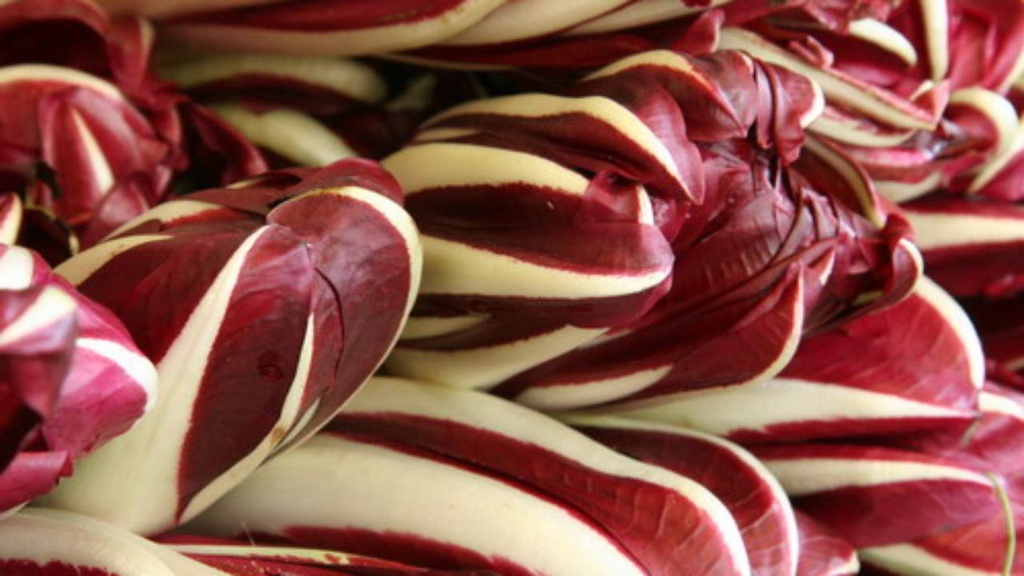 Radicchio al kg